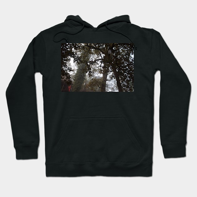 Through the Mist Hoodie by Jacquelie